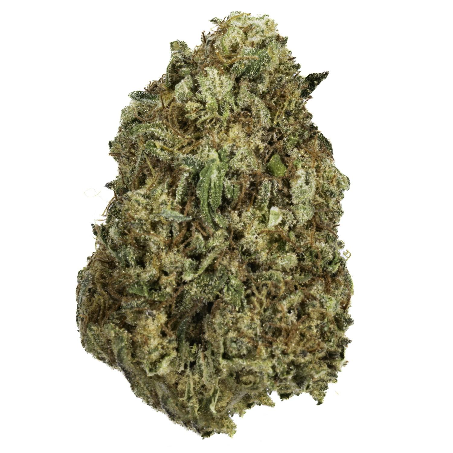 Purple Starfruit - 14G Premium Flower