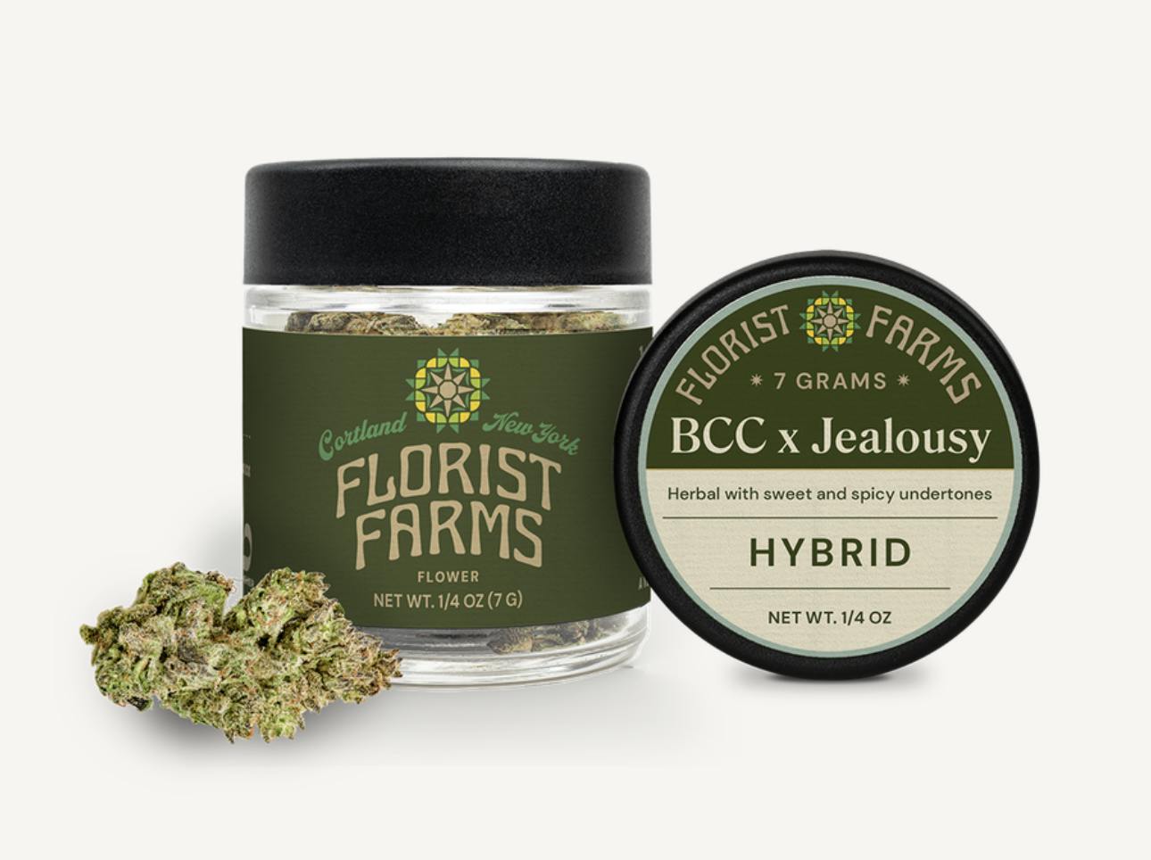Bcc Jealousy Big Buds