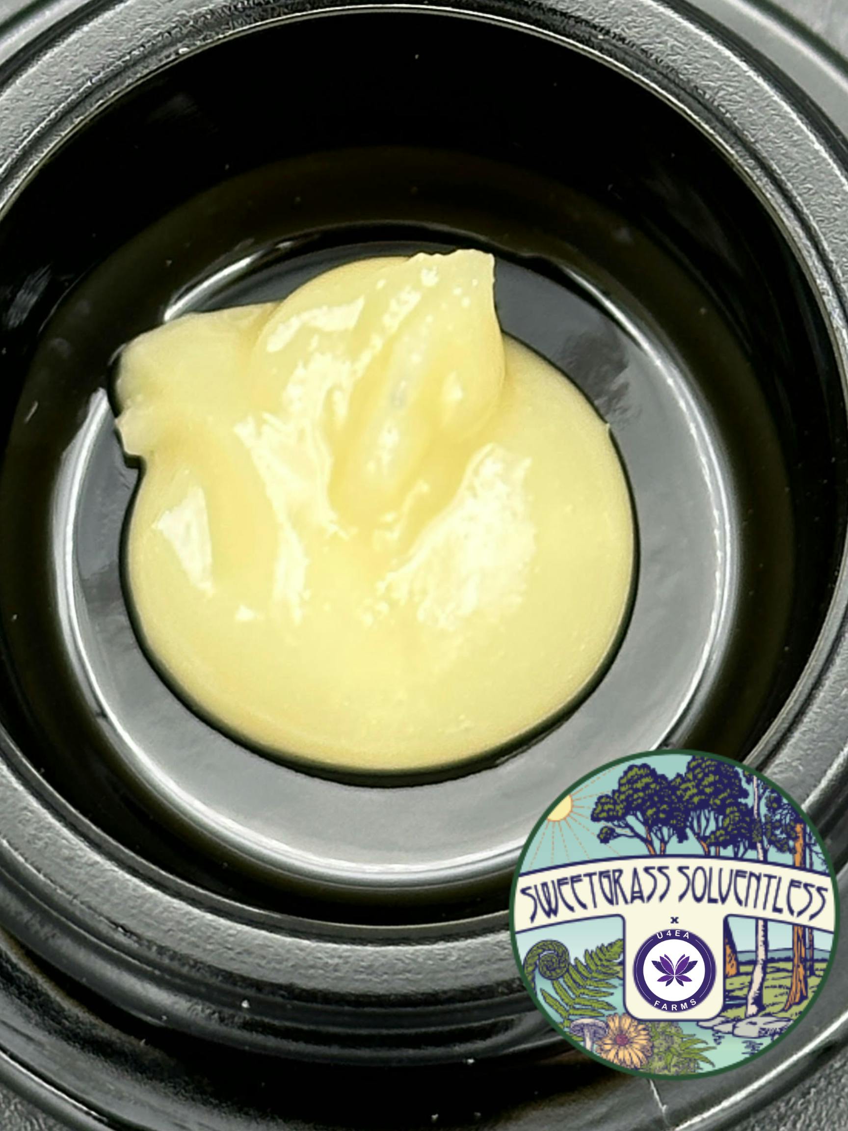 Pie Dough Cold Cured Live Hash Rosin 1g by U4EA Farms