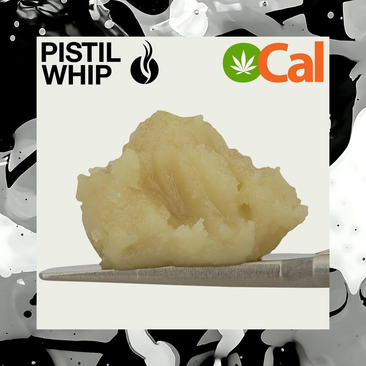 Pistil Whip x TC | Orange Yuzu | OCal Live Rosin Badder | 1g