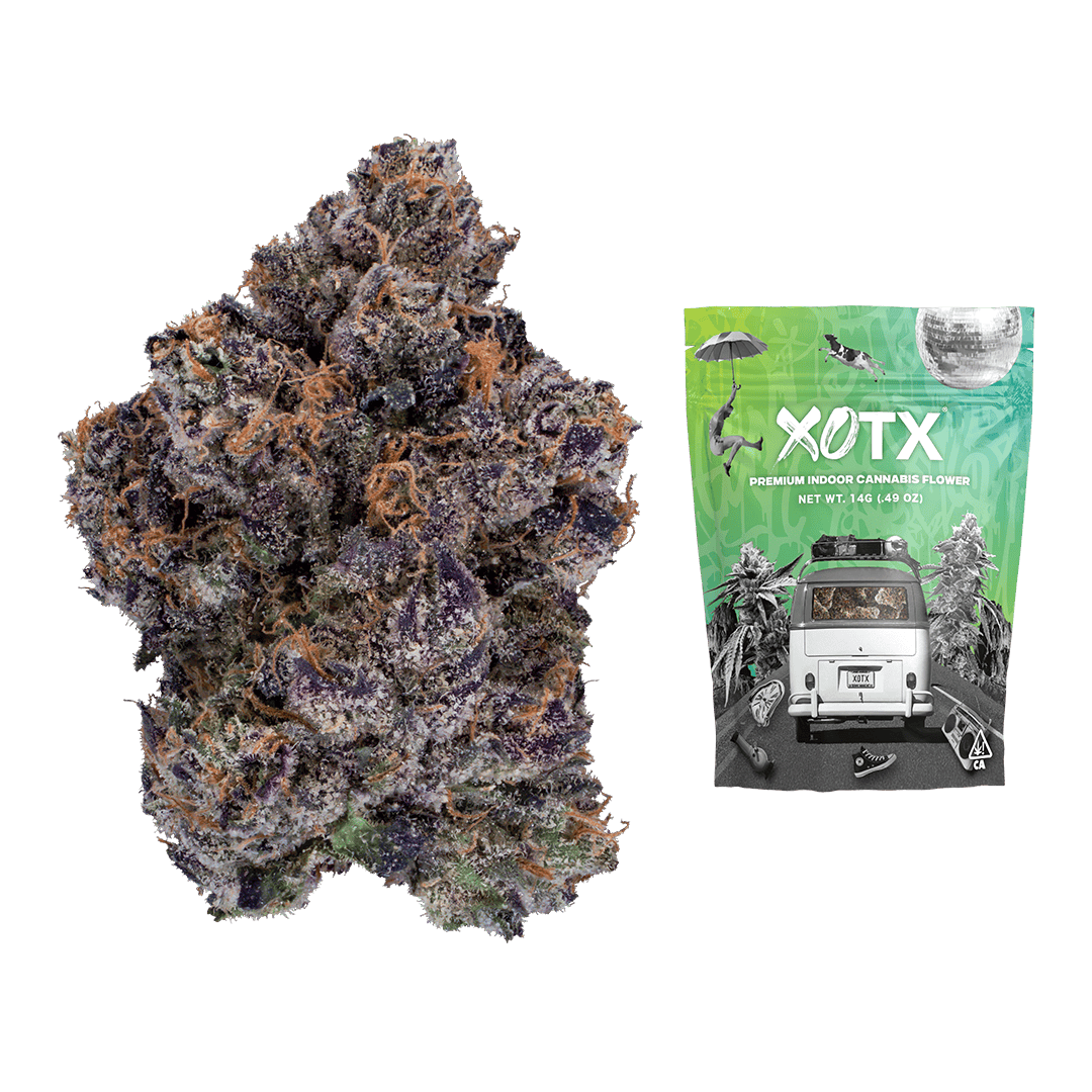 XOTX: Gelato