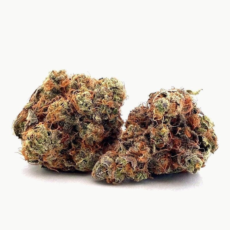 Ayo- Jokerz #31 Flower 3.5g at Good Day Farm Dispensary Shreveport Mansfield
