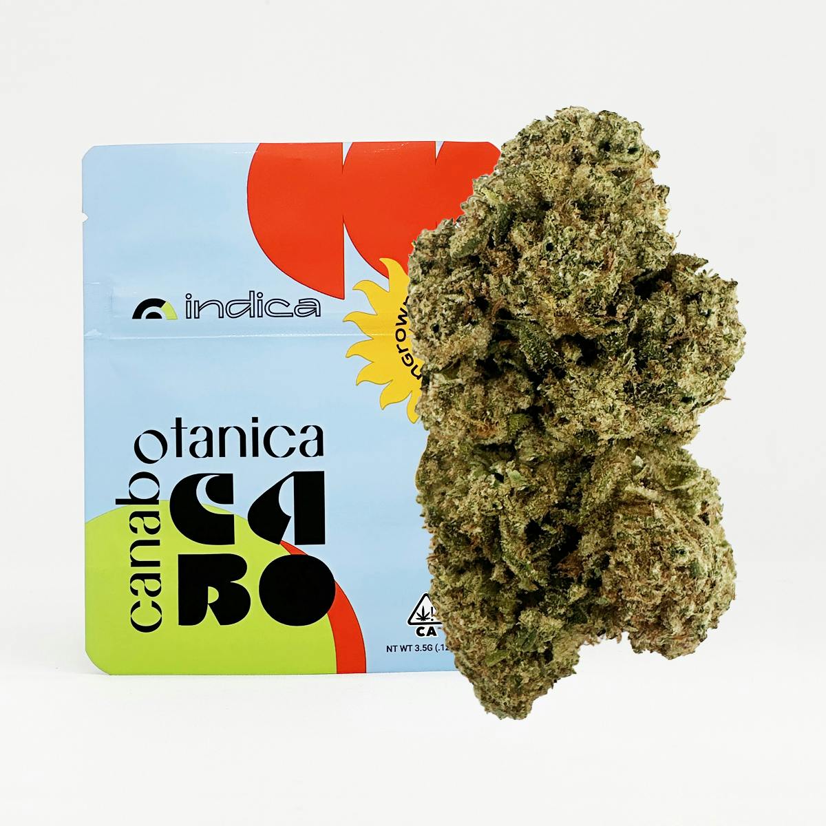 Canabotanica — Mule