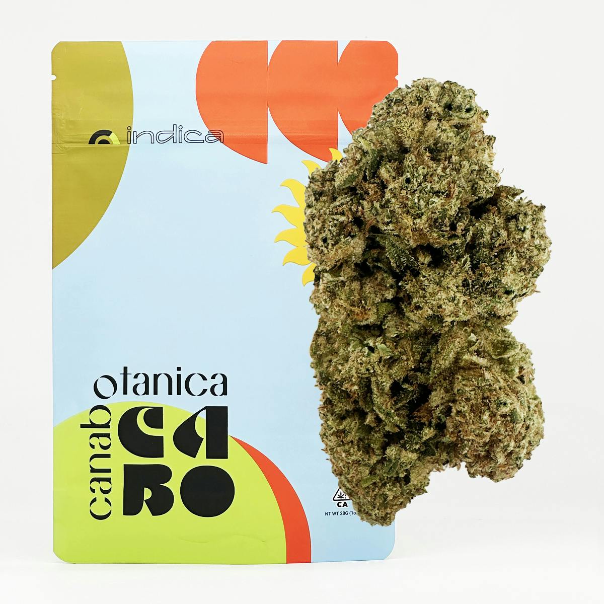 Mule Sungrown Flower