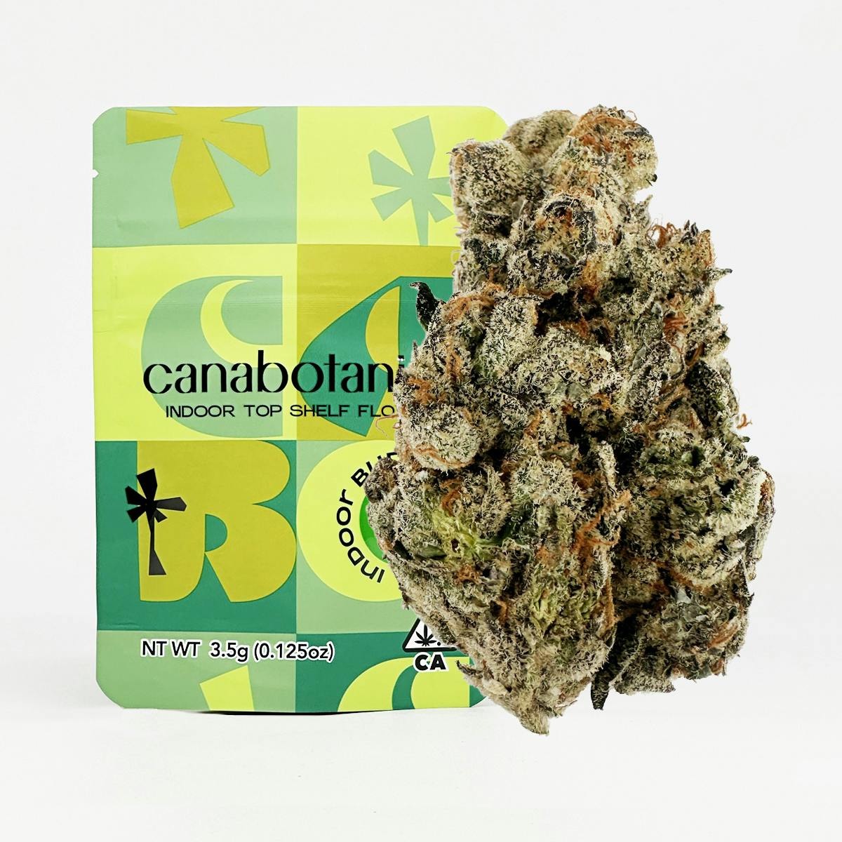 Nectarine Jelly Indoor Flower