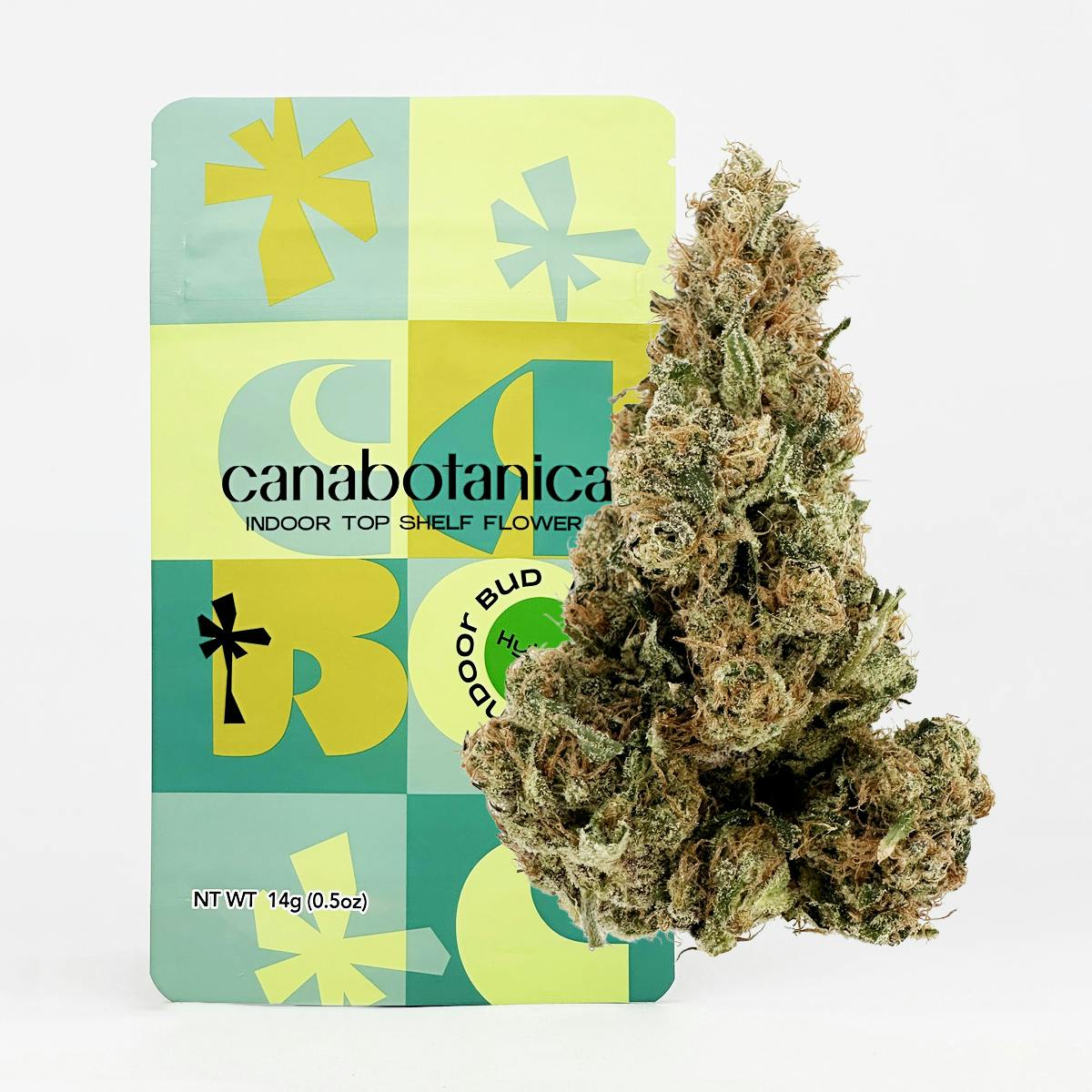 Lemon Pastries Indoor Flower