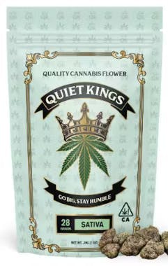 Sour Amnesia | Big Buds | 28g