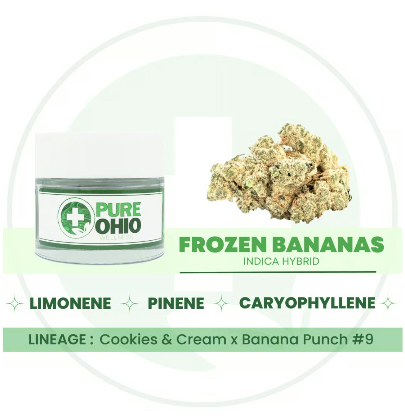 Frozen Bananas - 2.83g