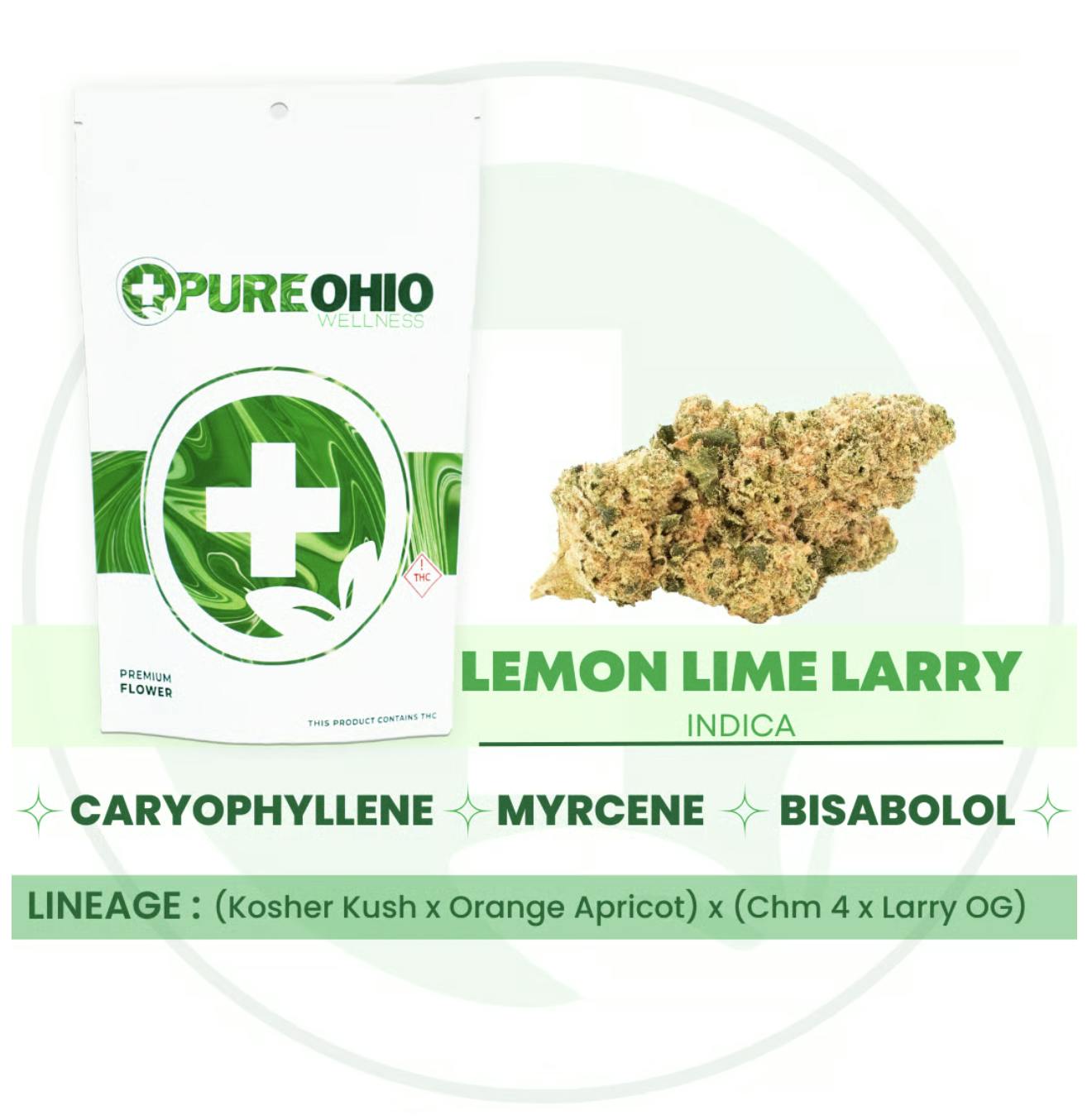 Lemon Lime Larry 14.15g