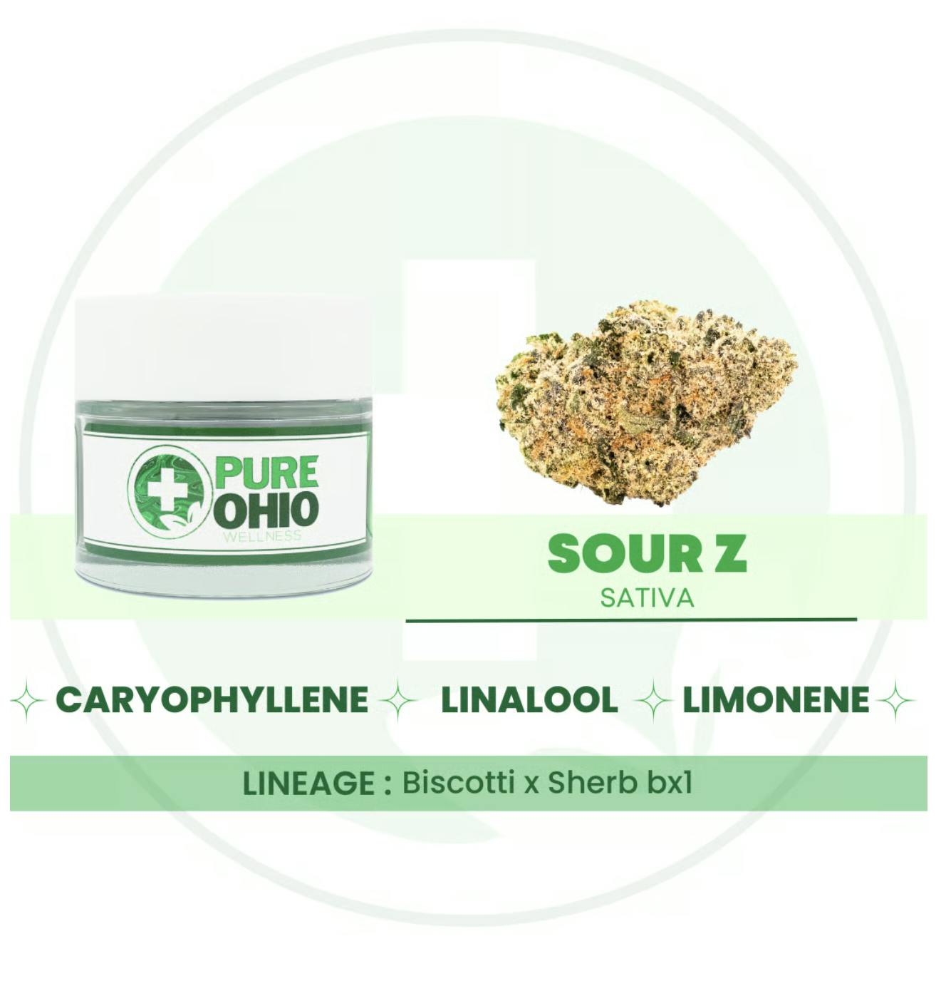 【TBC】インピュア  OZONISM Articon-G592-DentalDirekt-Bio-