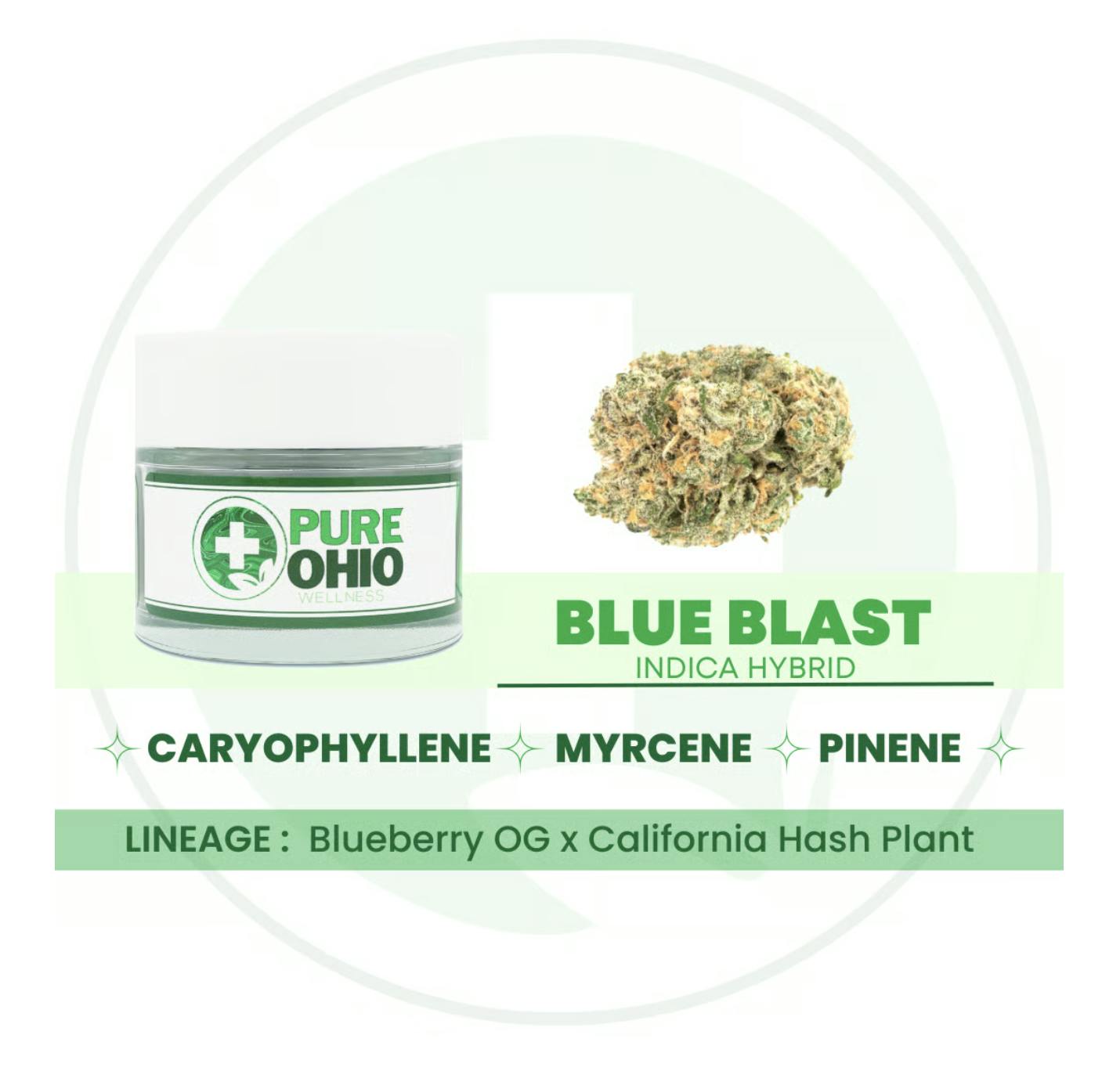 Blue Blast - 2.83g by Pure Ohio Wellness