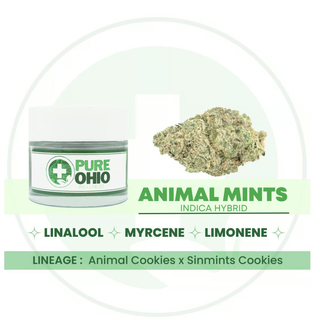 Animal Mints - 2.83g