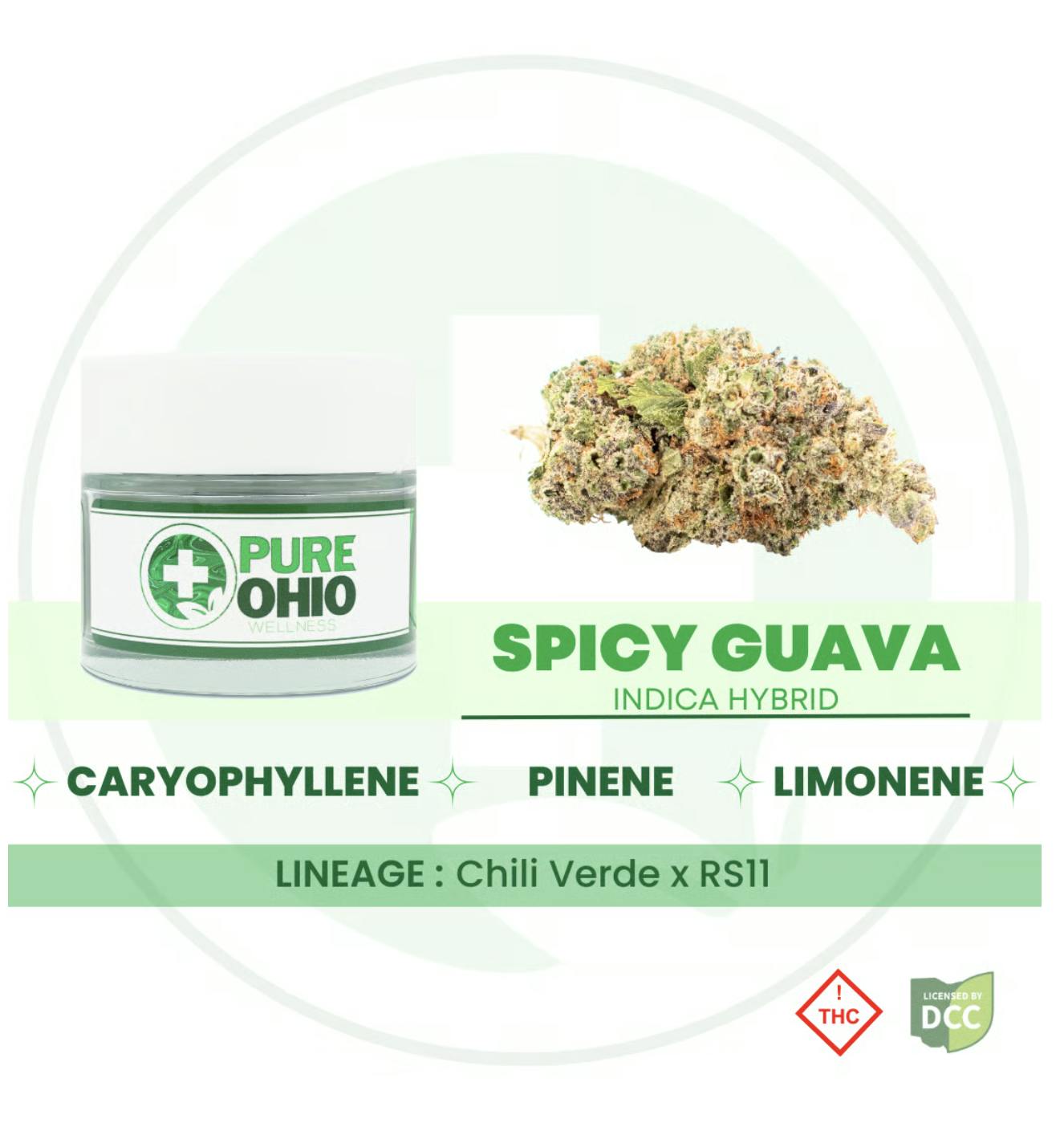 Spicy Guava - 2.83g by Pure Ohio Wellness