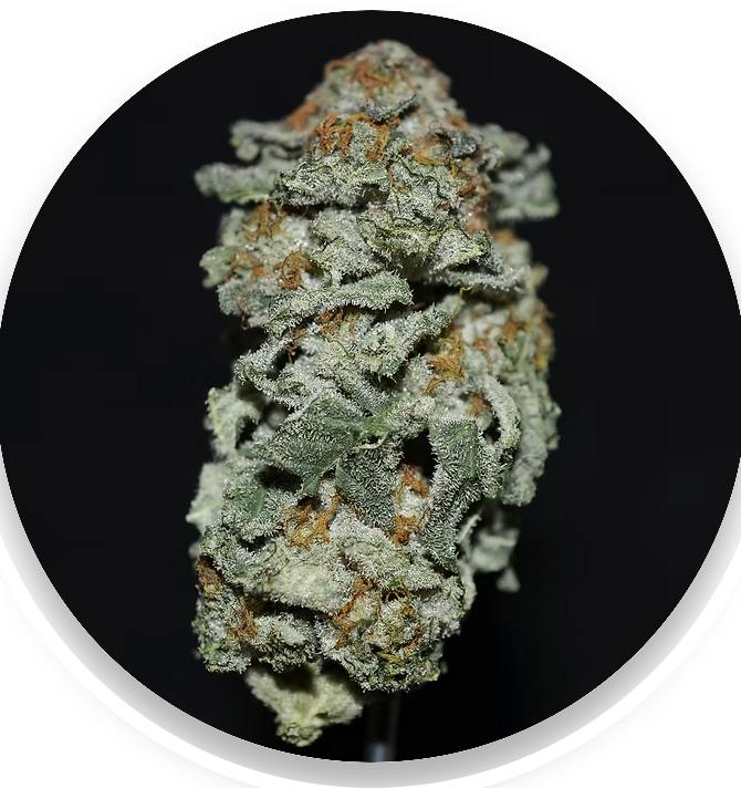 Apes In Space | 3.5g