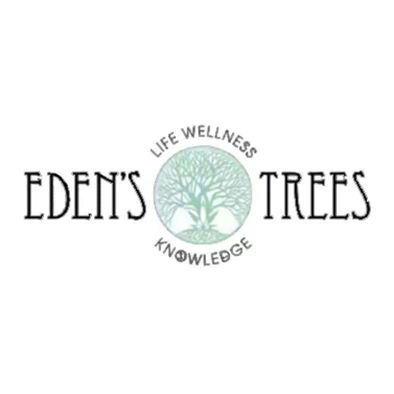 Eden's Trees | Northern Lights | Disposable | 0.9G by Eden's Trees