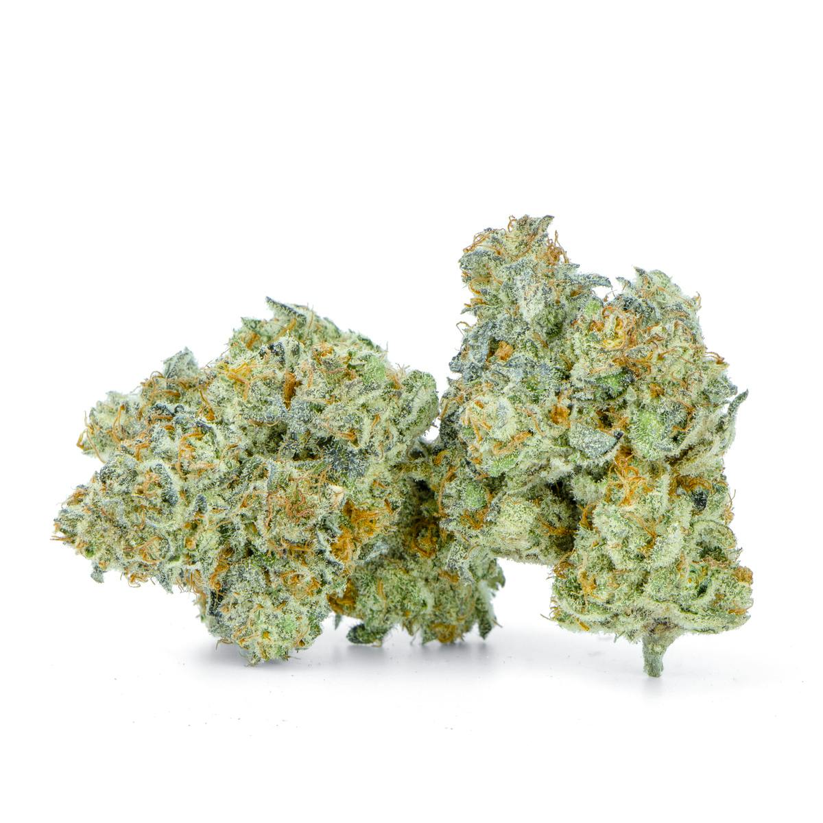 Flying Triangle Choke Premium Flower