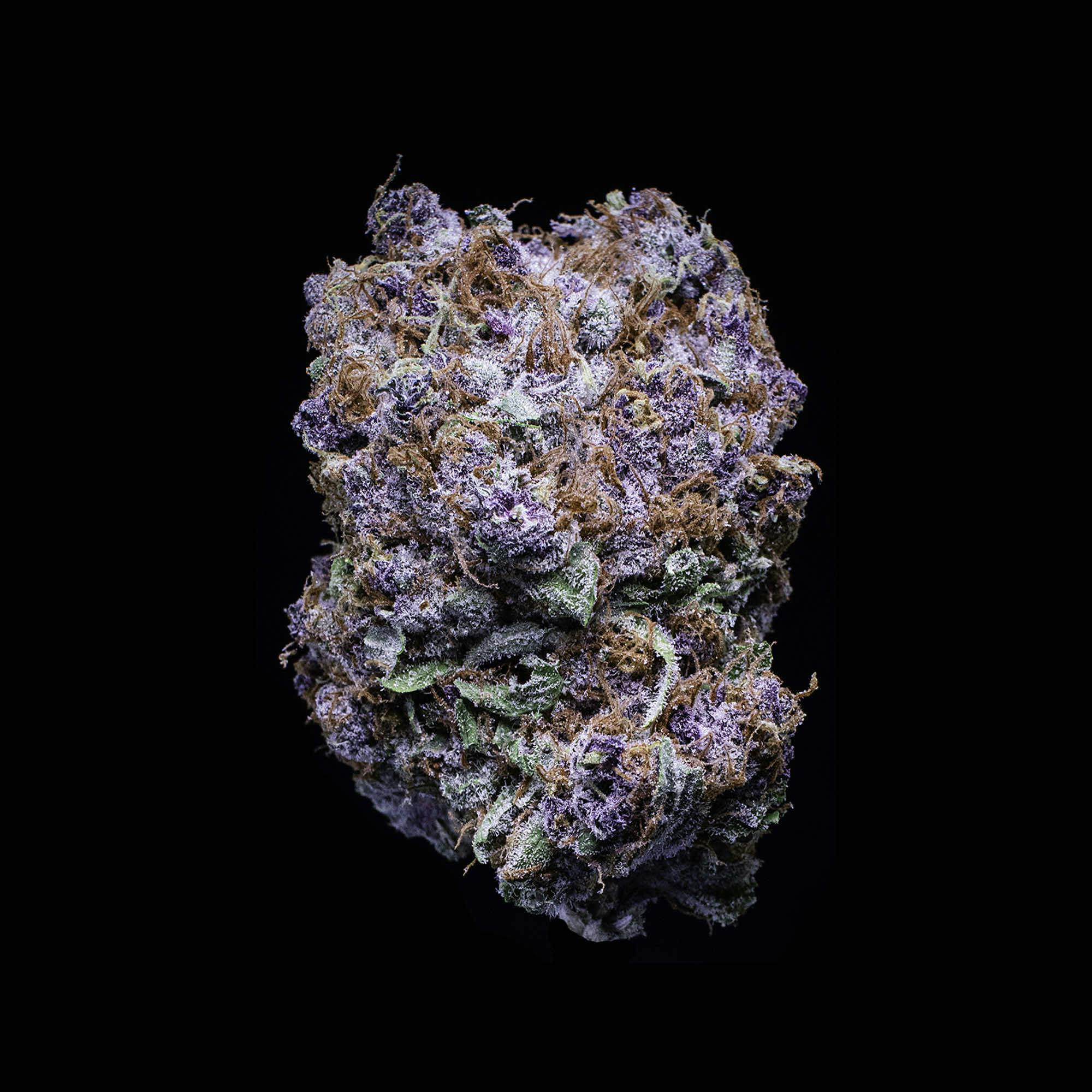 Blueberry Tide Flower 7g by Falcanna