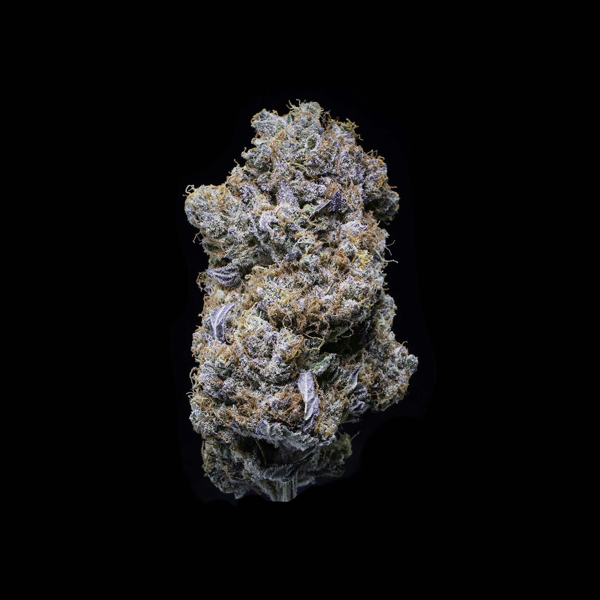 Orange Blossom Flower 3.5g