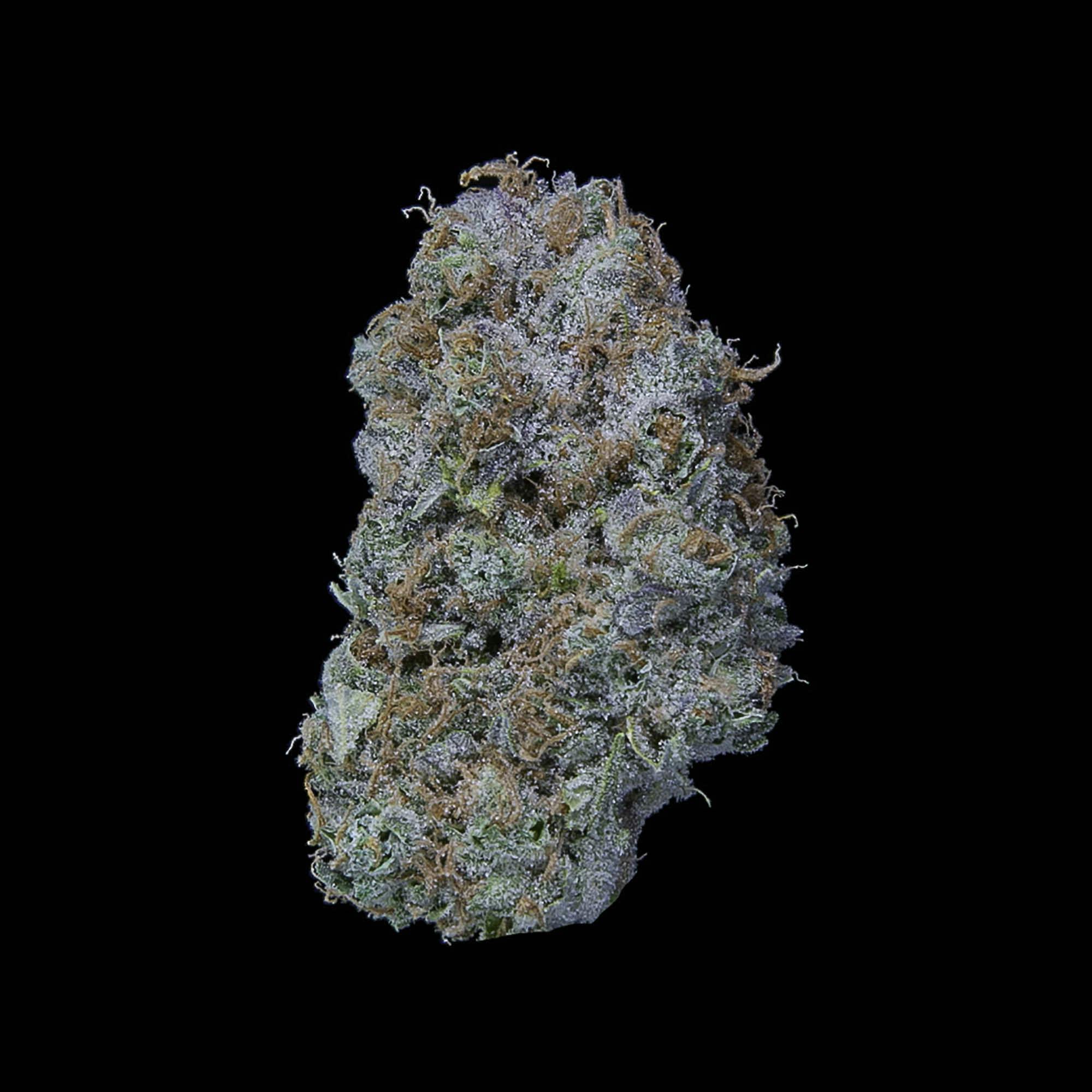 Dutch Haze Flower 14g by Falcanna