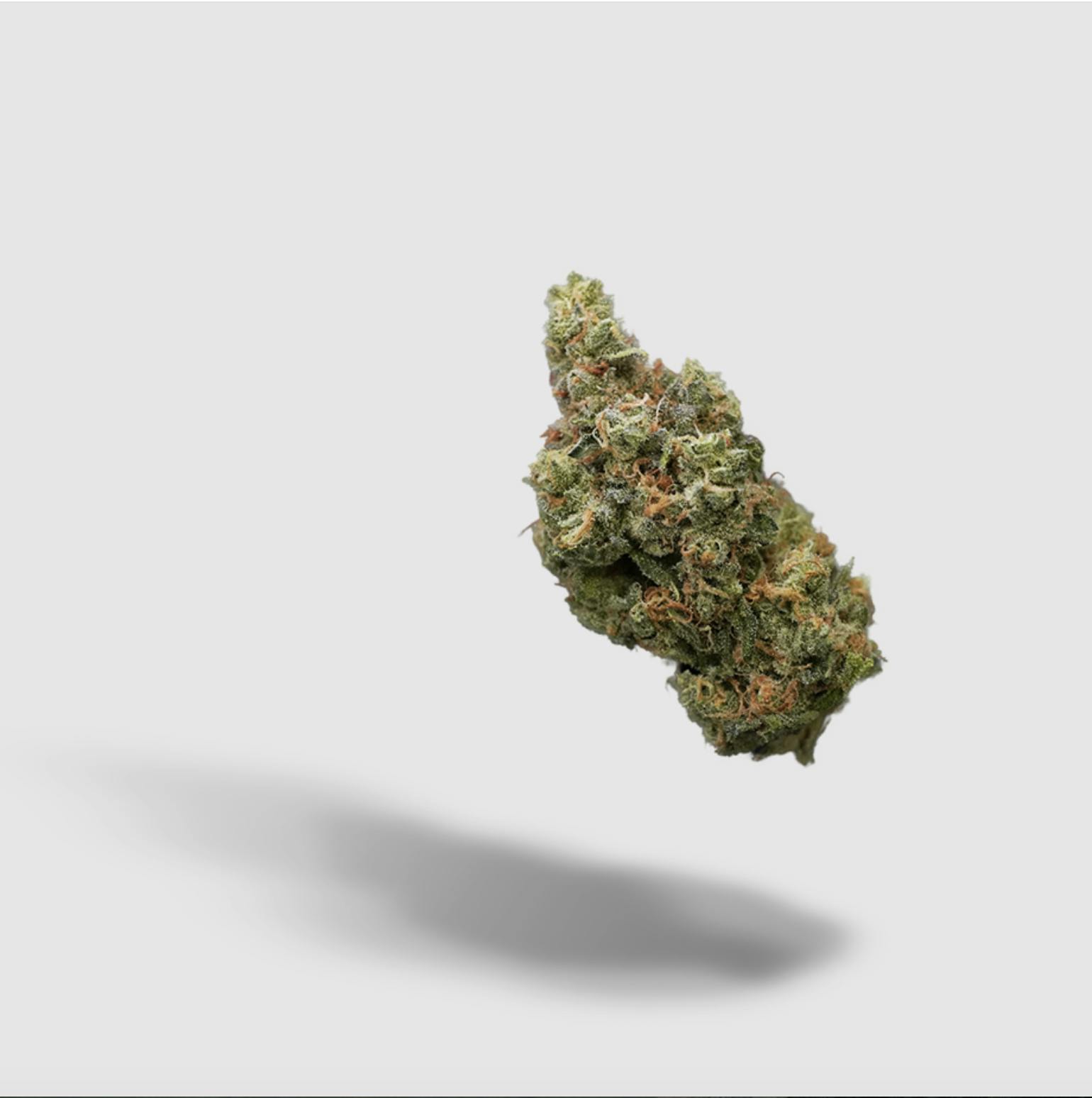 Tangie Gak | 2727 | Flower | 28G by 2727