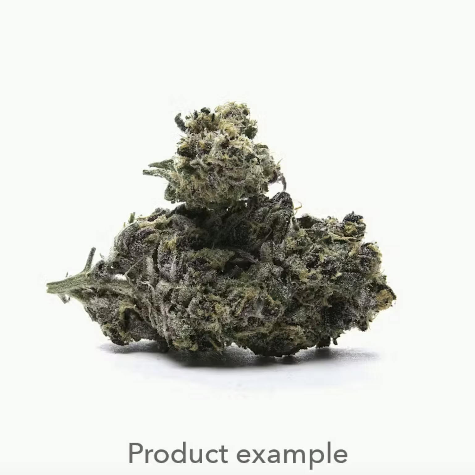 Jet Fuel Gelato | 2727 | Flower | 28G by 2727