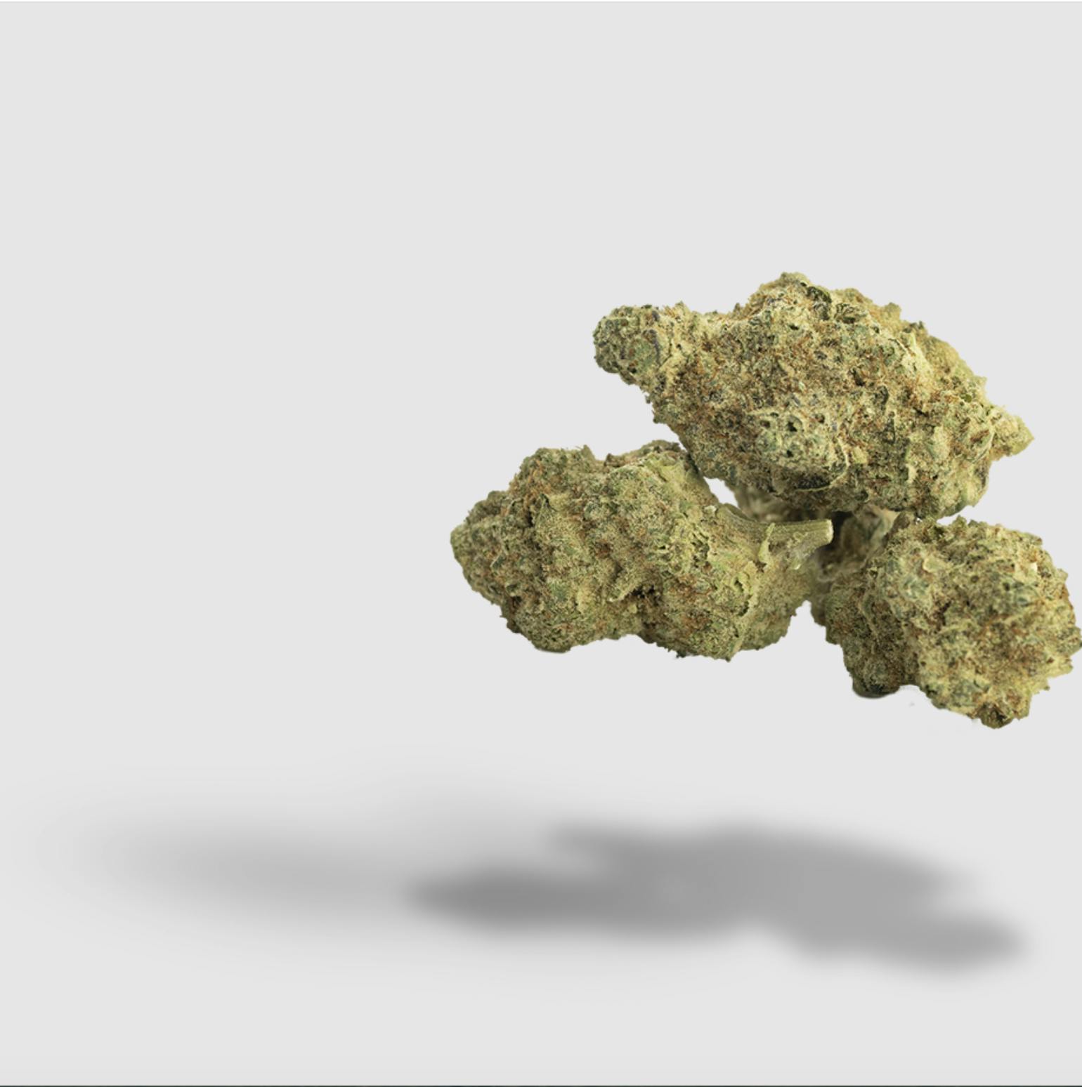 Notorious P.O.T. | 2727 | Flower | 28G by 2727