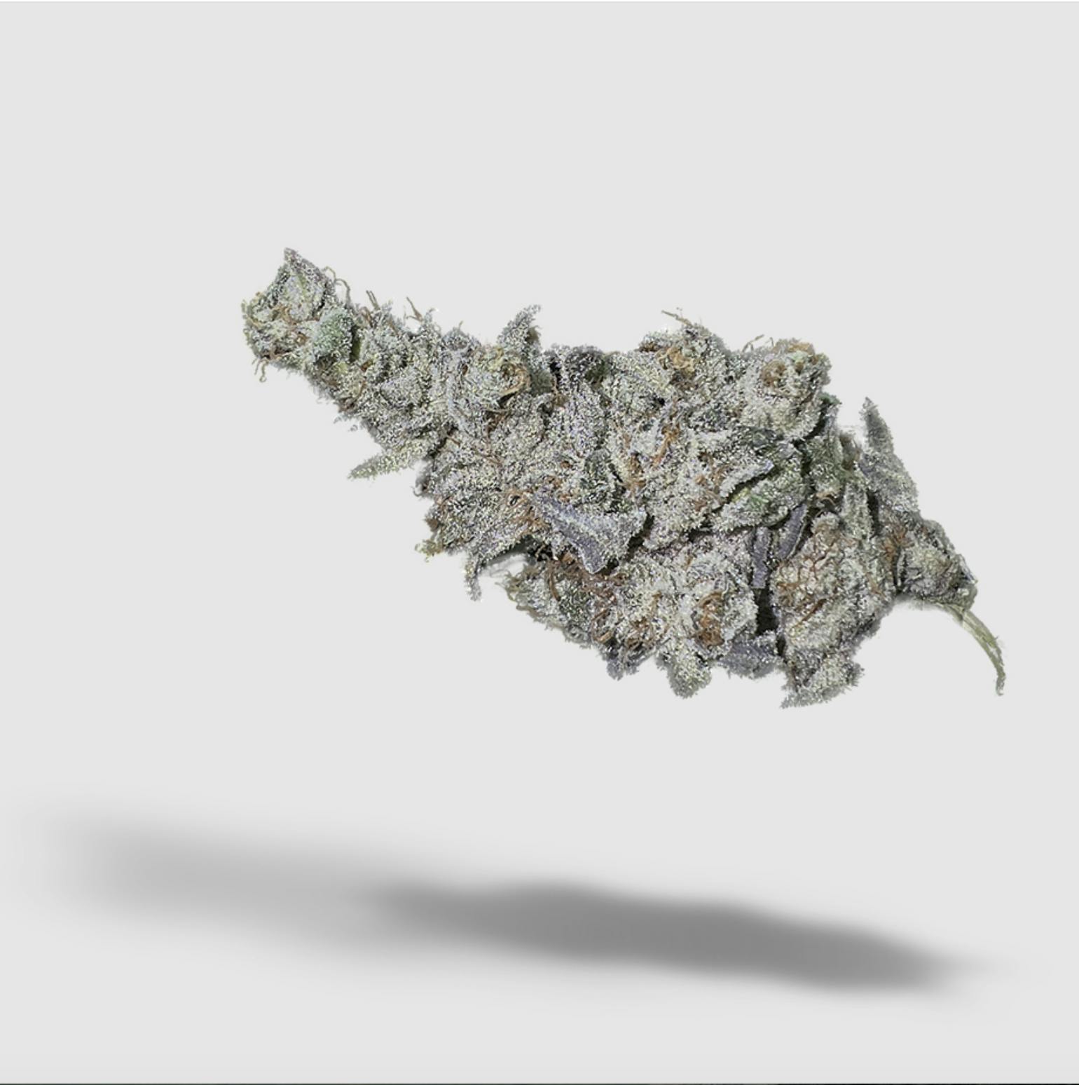 Pink Gorilla | 2727 | Flower | 28G by 2727