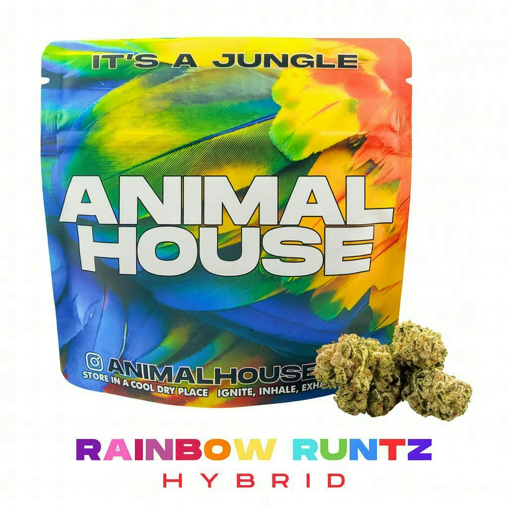Animal House | Rainbow Runtz | Big Buds | 14g by Animal House