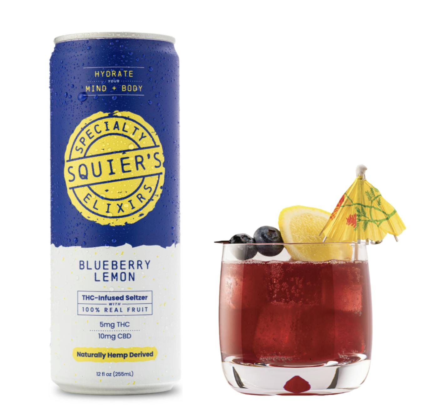 Blueberry Lemon - 5mg THC / 10mg CBD - Seltzer at HighNorth Mystique of Maine - Brewer