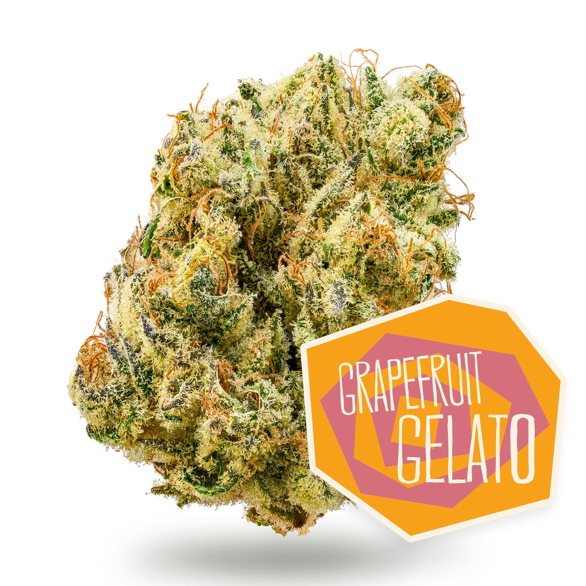 Grapefruit Gelato Flower by District Cannabis