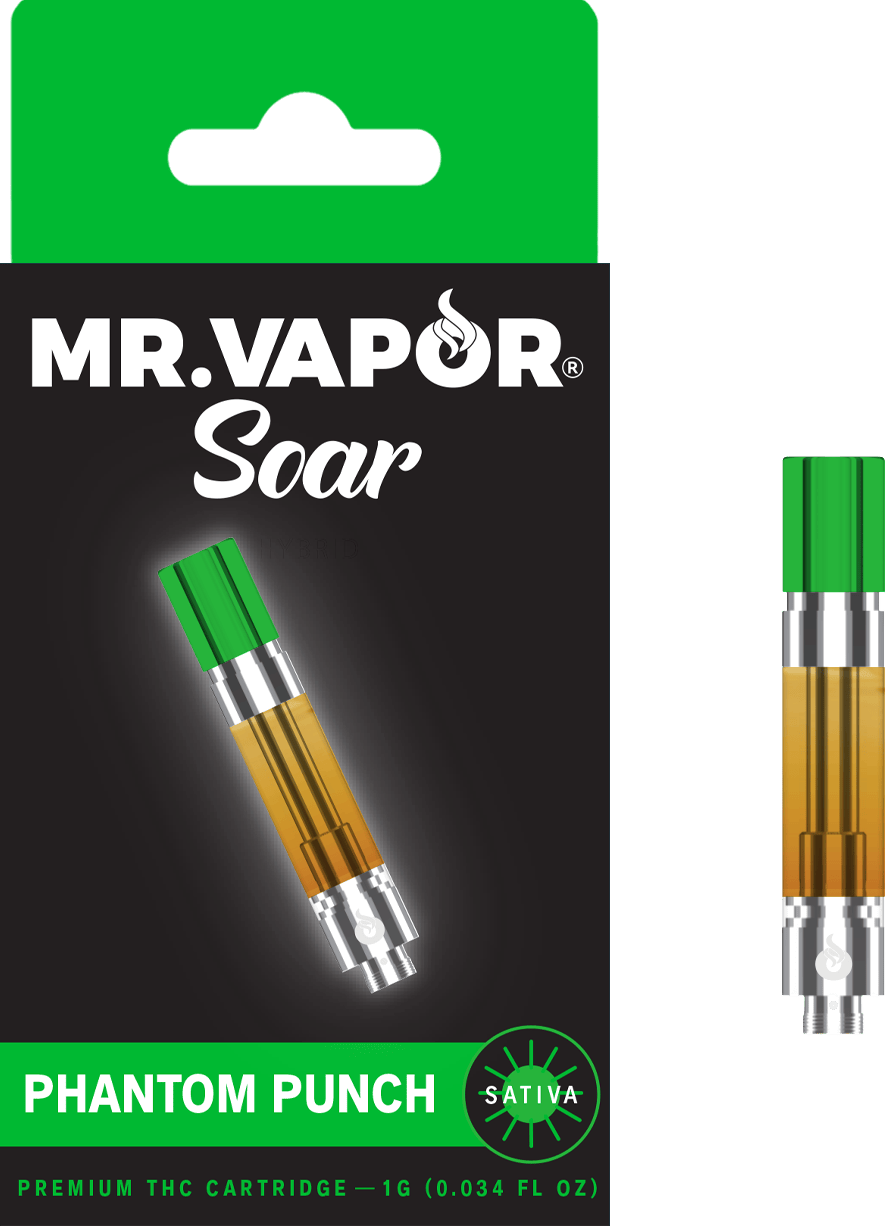 mechanical vape mod Mr. Vapor main image 1