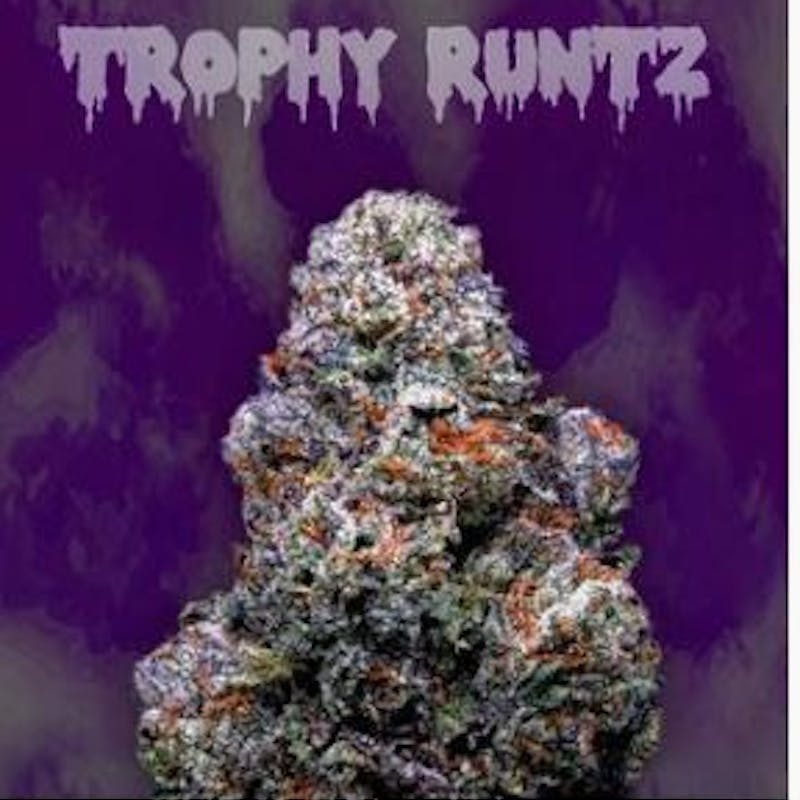 Trophy Runtz Flower 3.5g by Ooowee