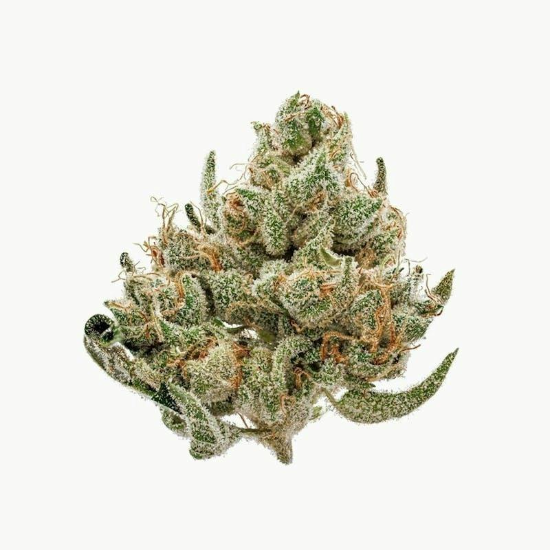 Gelato X Flower 3.5g by Ooowee