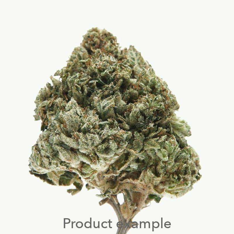 Mr. Bad Flower 1g by Ooowee