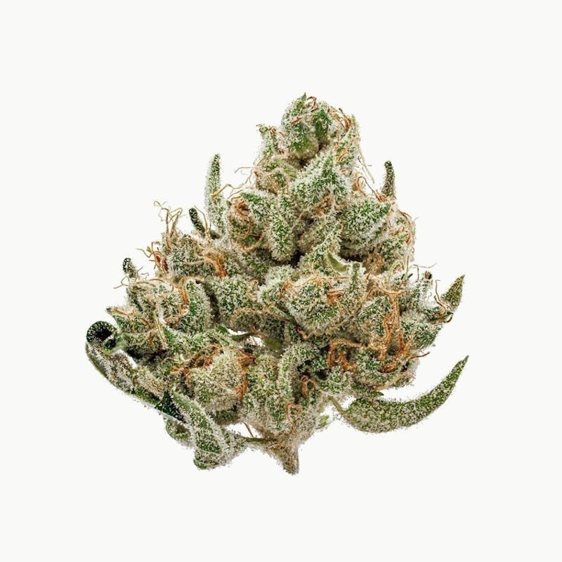 Late Bloomer Flower 3.5g by Ooowee