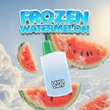 Later Days | Frozen Watermelon | Disposable | 2G by Later Days