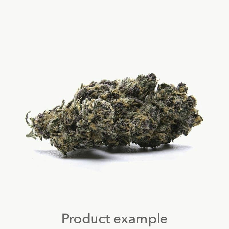 Zookies