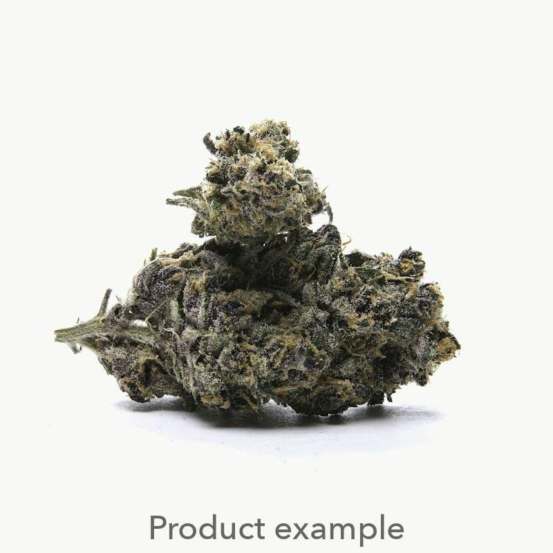The Dream