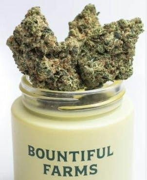 Sour Power OG | Bountiful Farms | Flower | 3.5G by Bountiful Farms