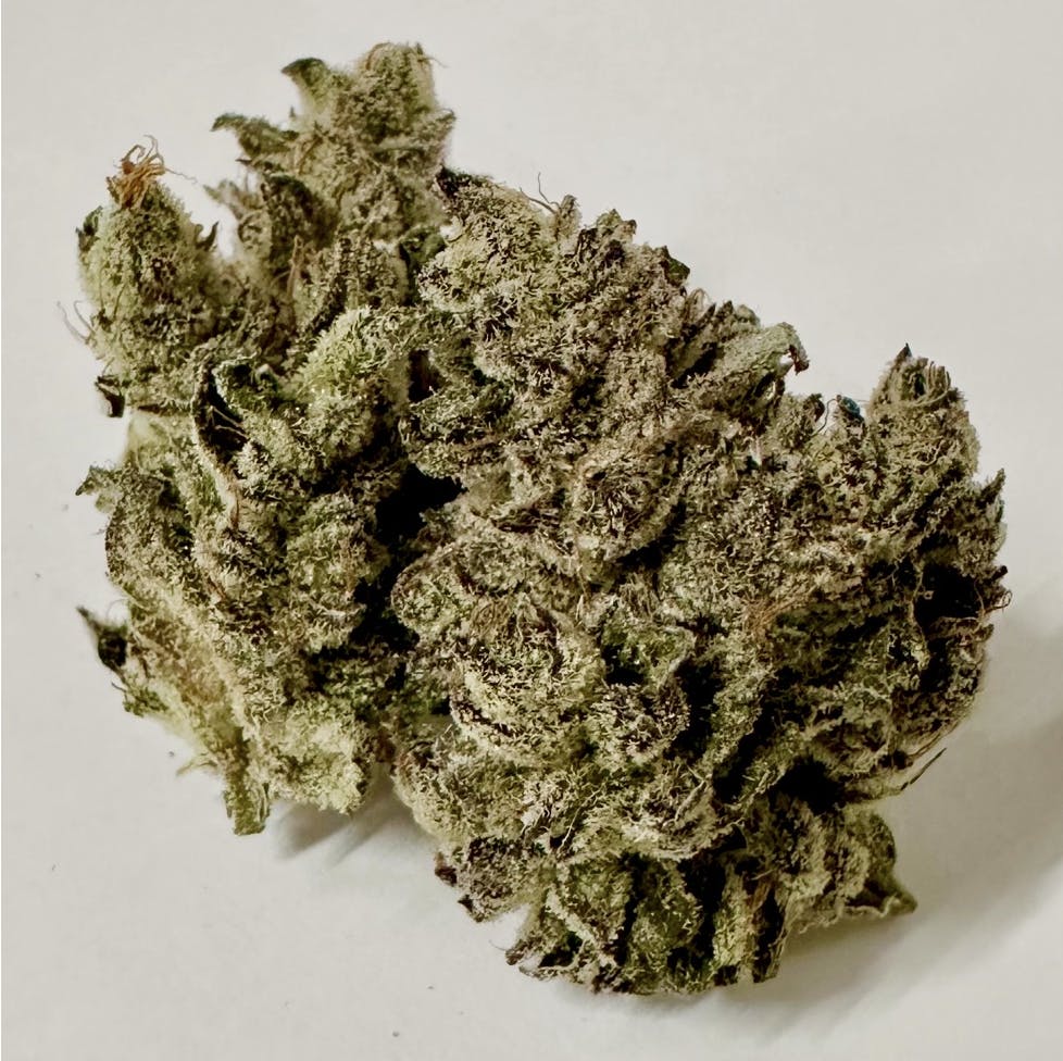 Antheia — White Truffle