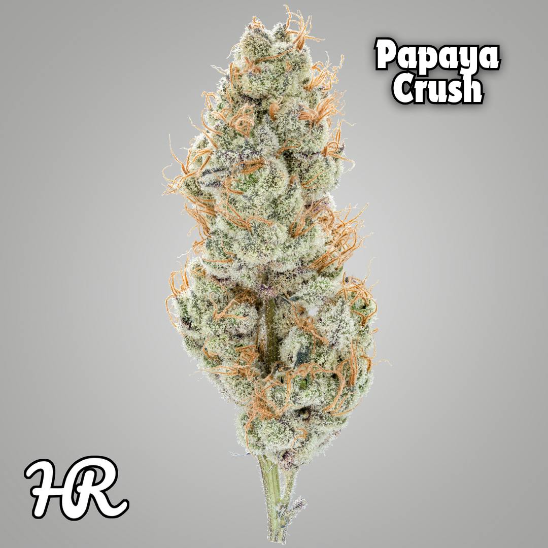 Papaya Crush 3.5g Bag | High Rise Cannabis