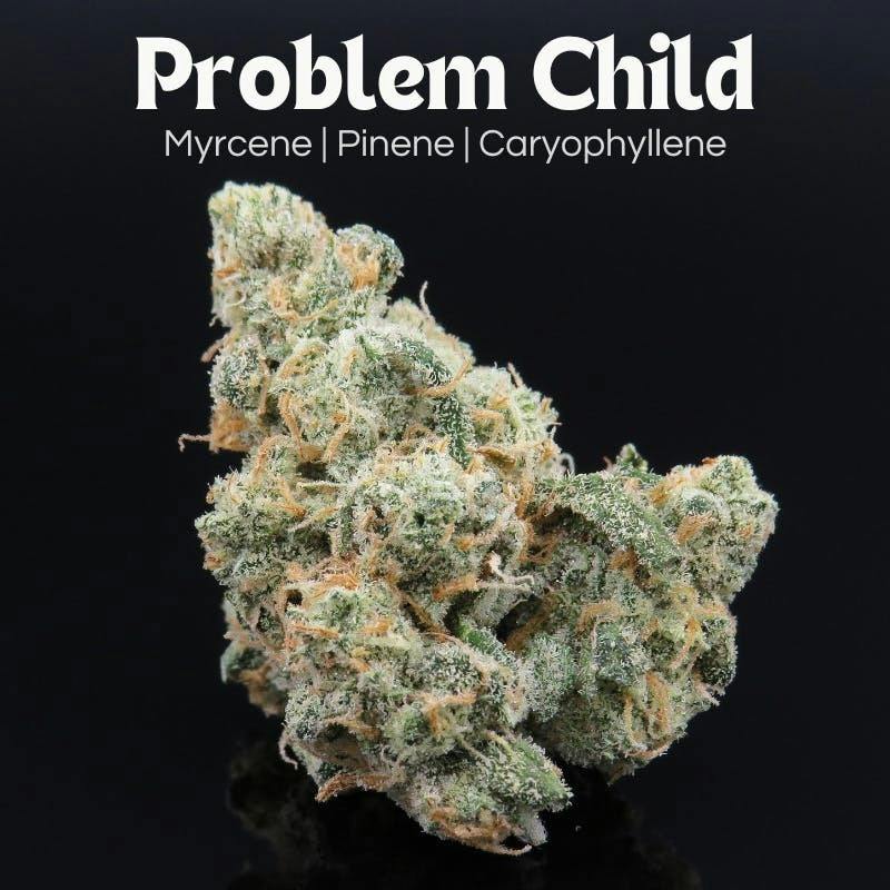 Problem Child – 3.5g by Farkas Farms
