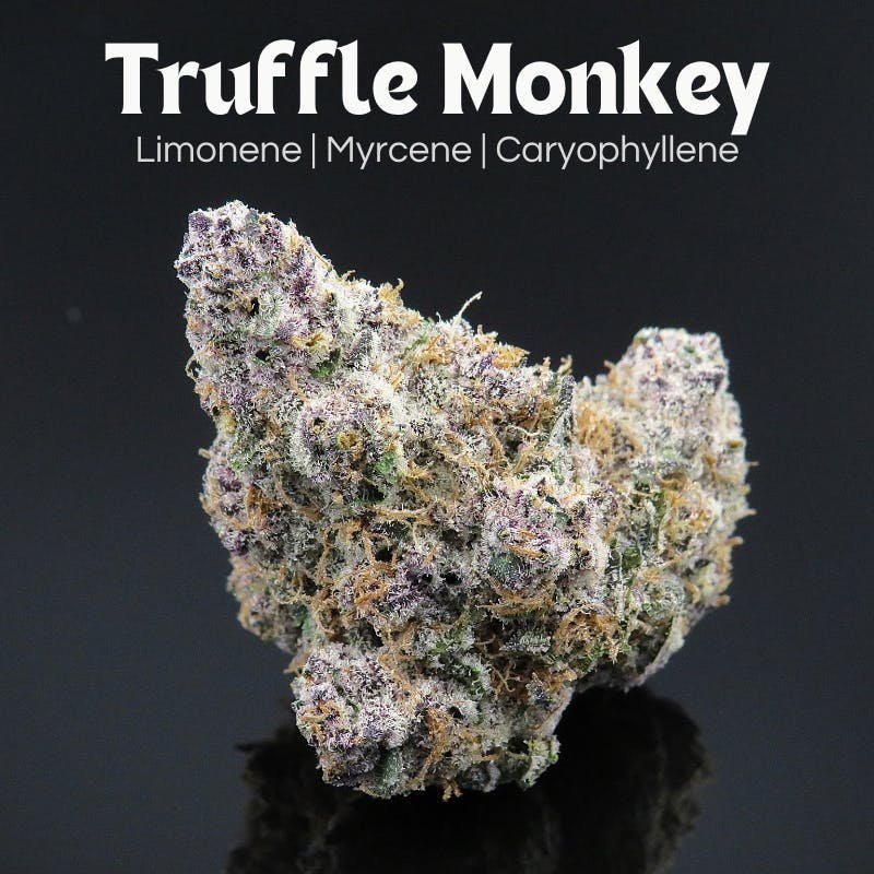 Truffle Monkey – 3.5g