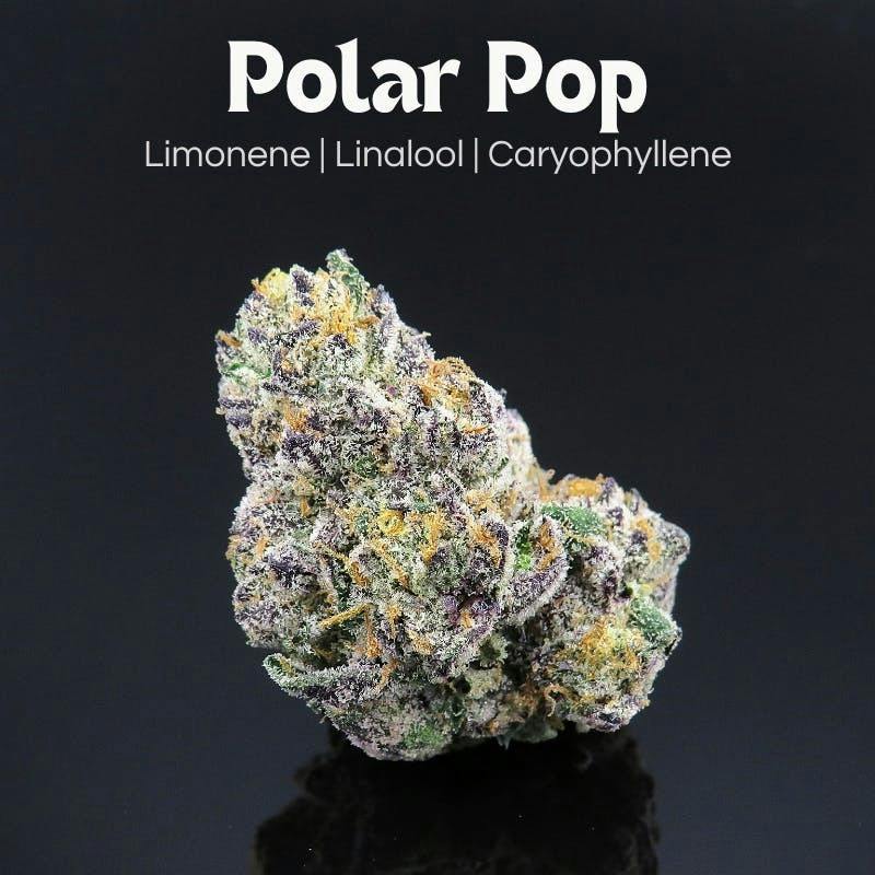 Polar Pop – 14.15g