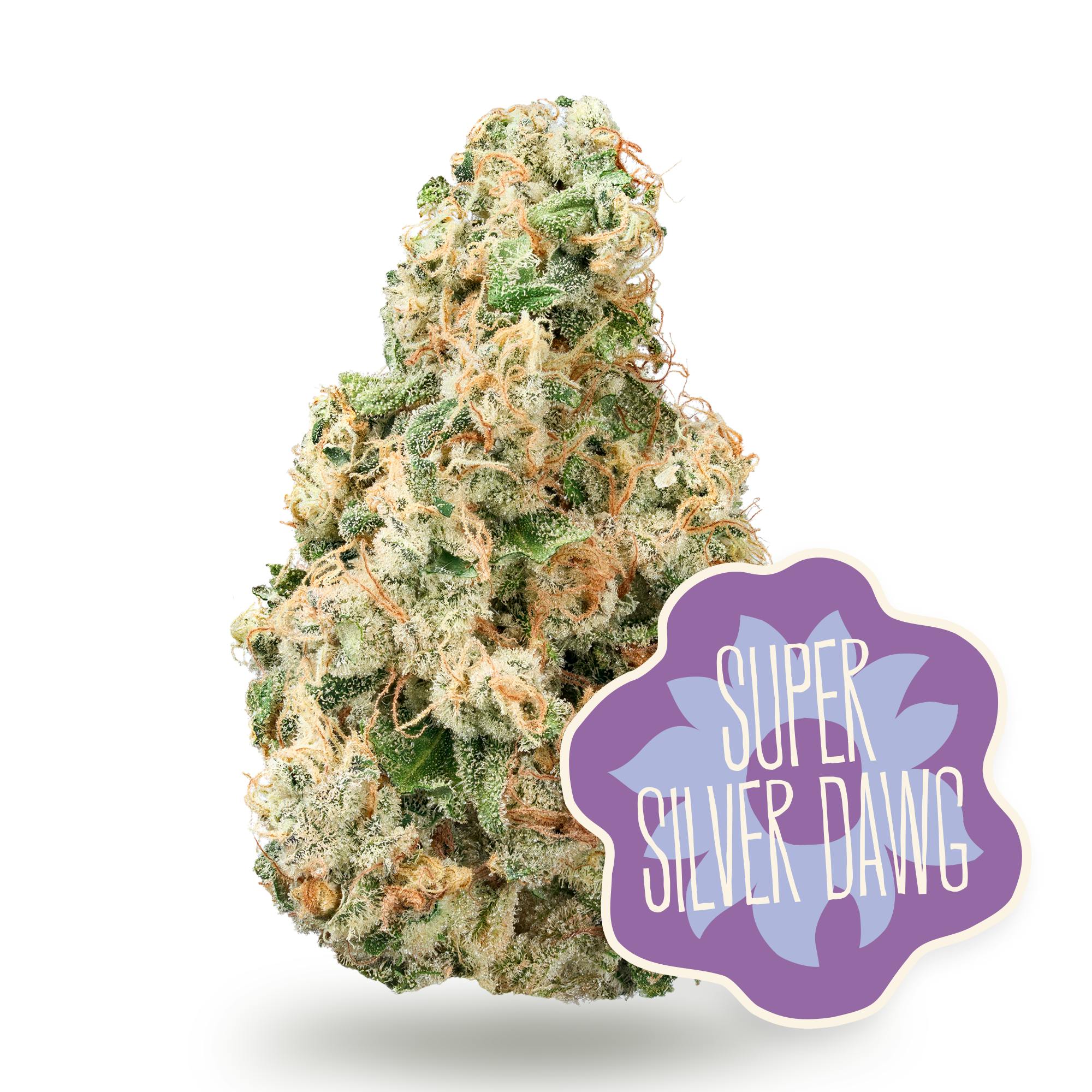 Super Silver Dawg Flower