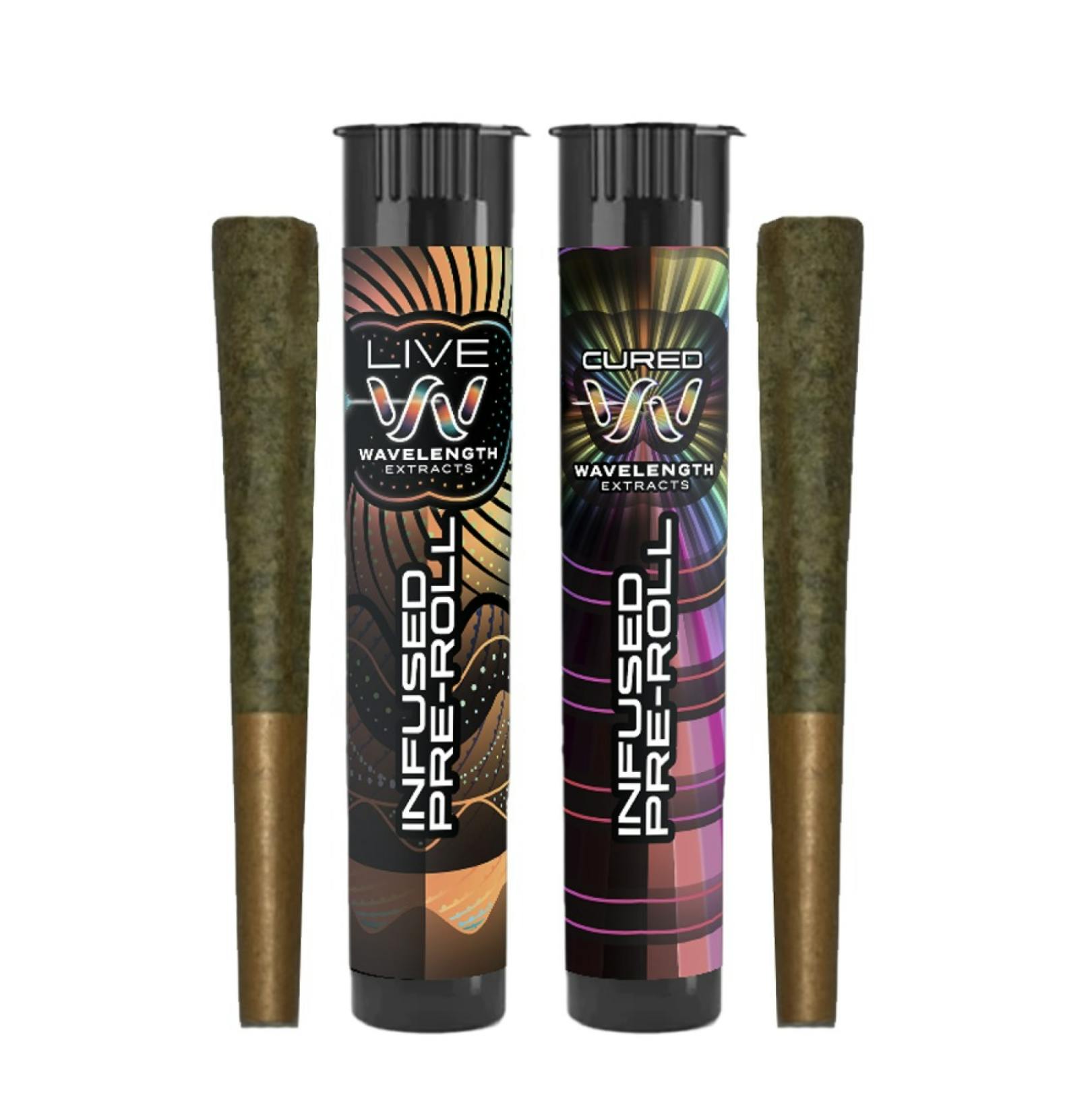 Jilly Glue