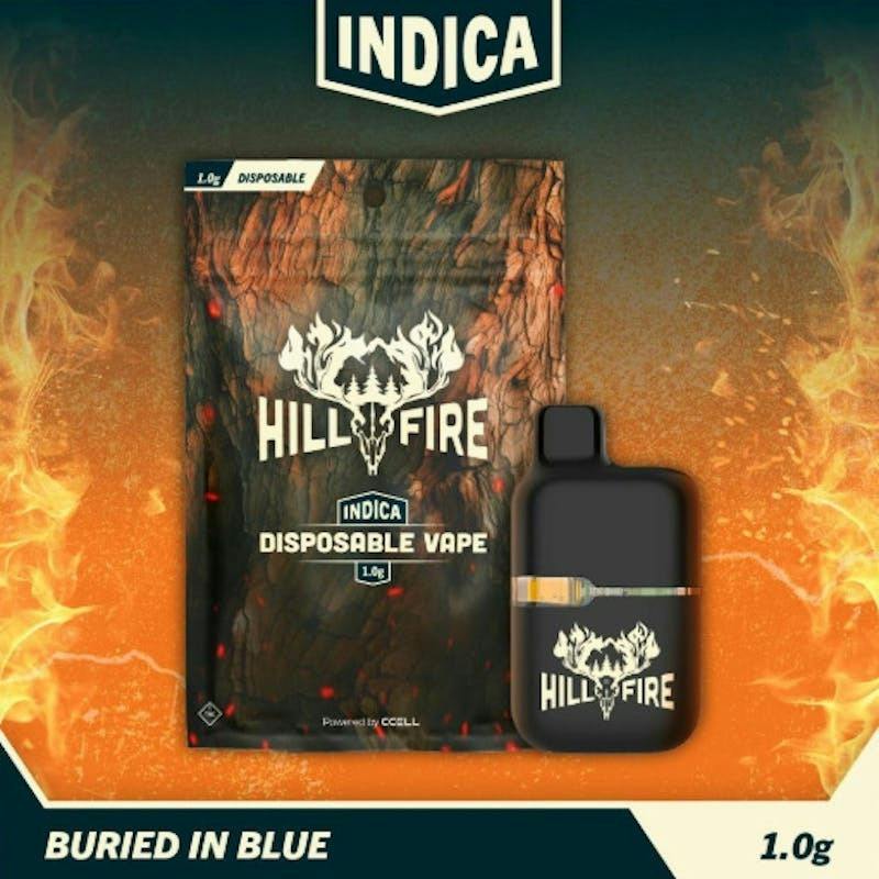 Buried in Blue | 1g Disposable