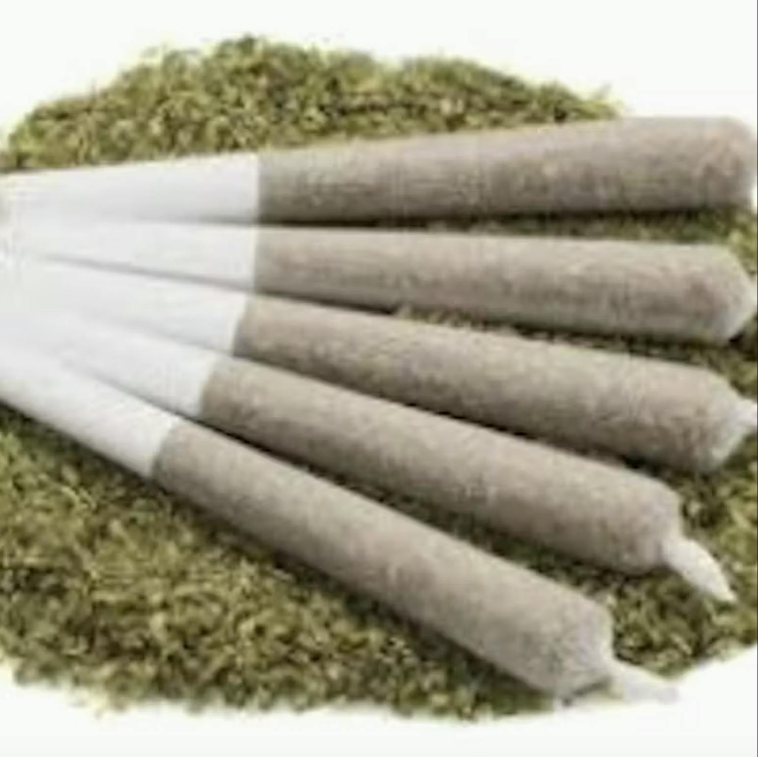Jealous Runtz 6pk | Trichome Farms | Preroll | 0.5G - Trichome Farms