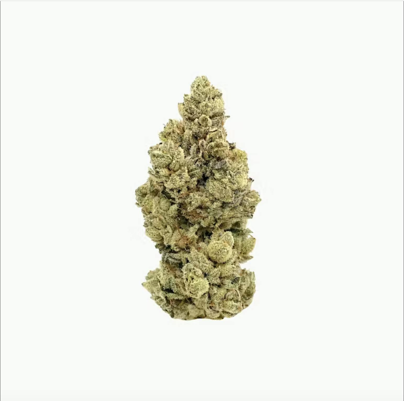 Trichome Farms: Electric Grapevine