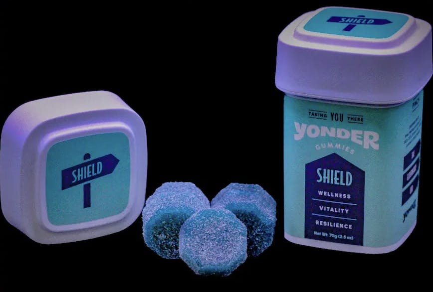 Yonder | Blueberry | 100mg SHIELD Gummies 10pk at ROOTDOWN